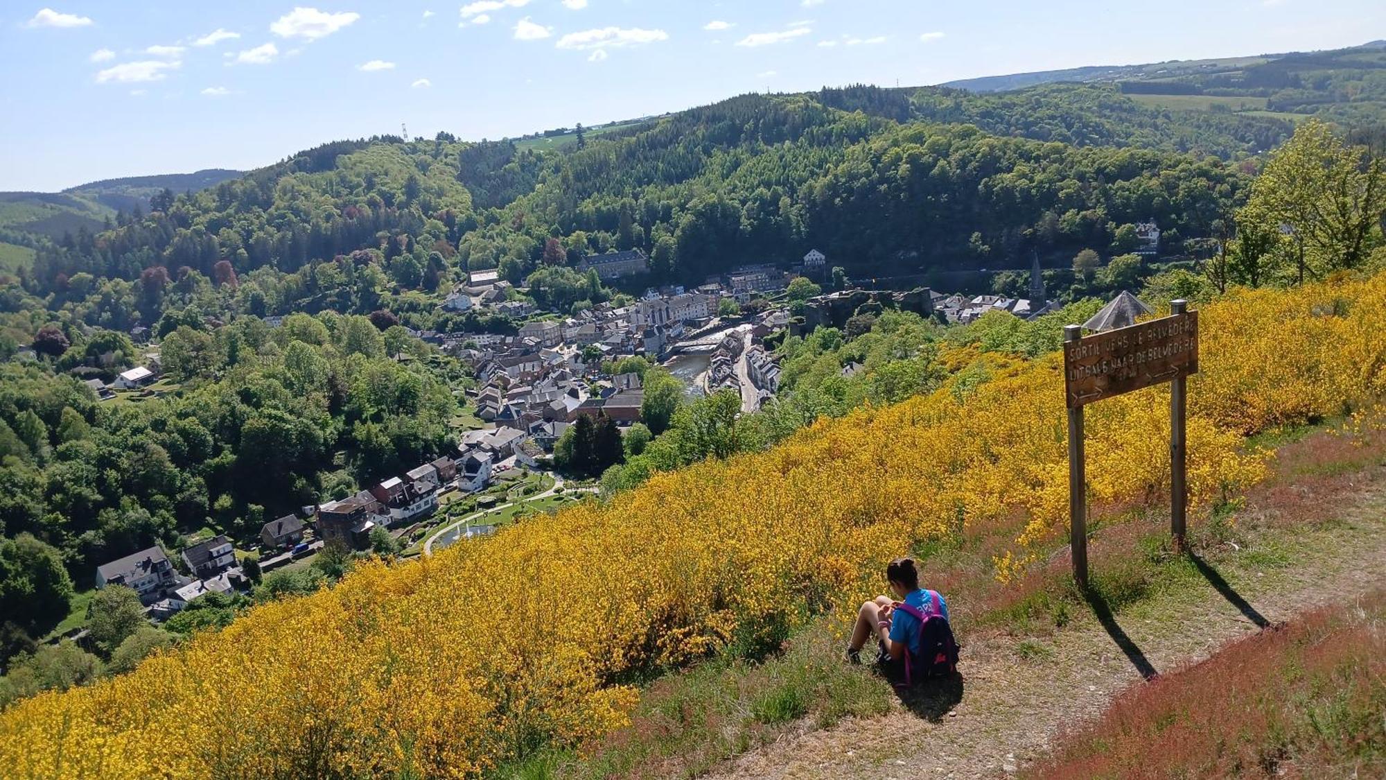 Le Panorama Villa La-Roche-en-Ardenne Kültér fotó